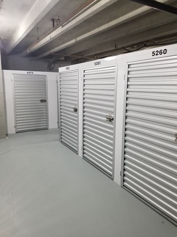 Oakton Park Apartments Storage 09