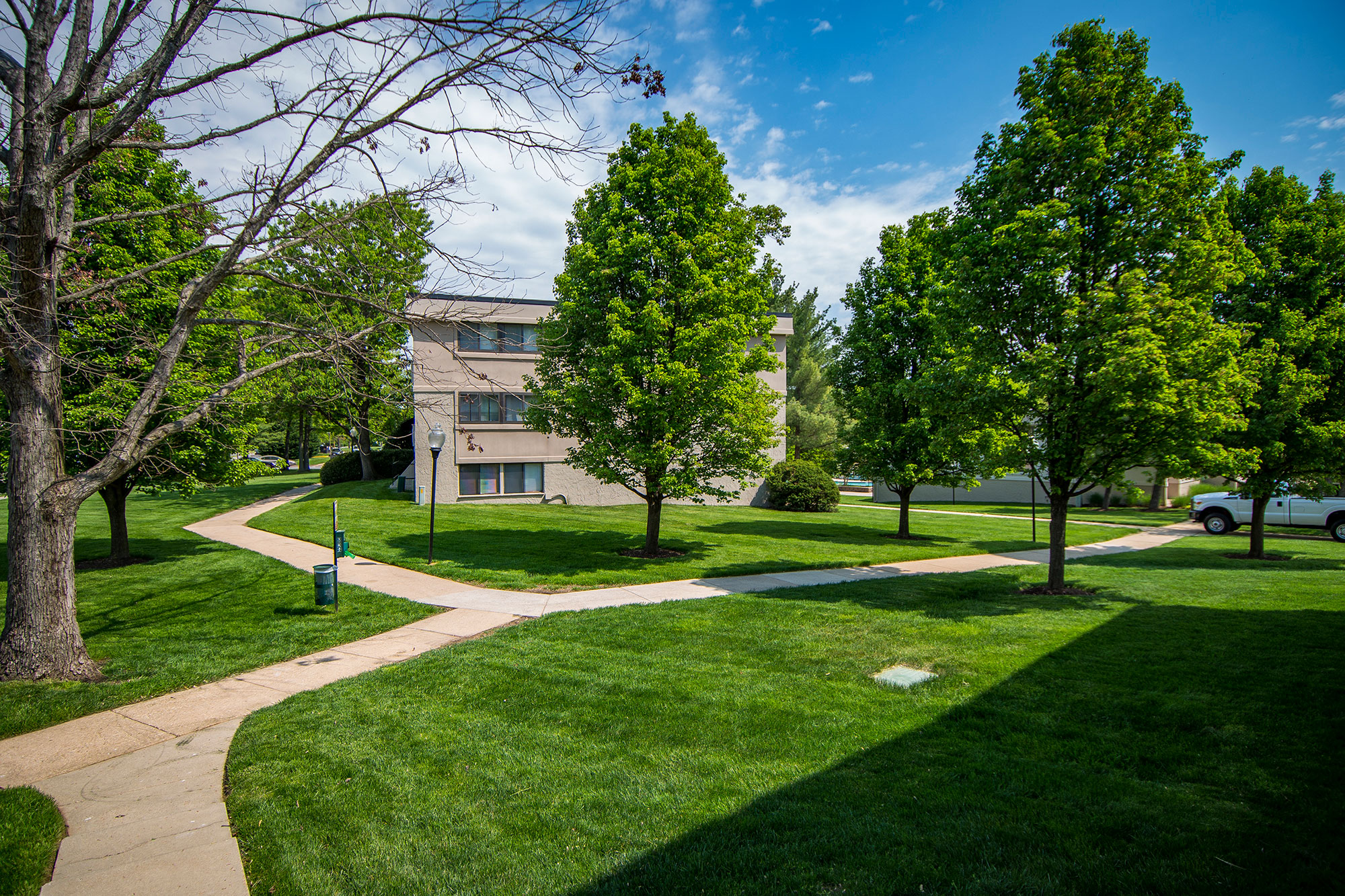 Ashley Apartments Dog Walk Photo