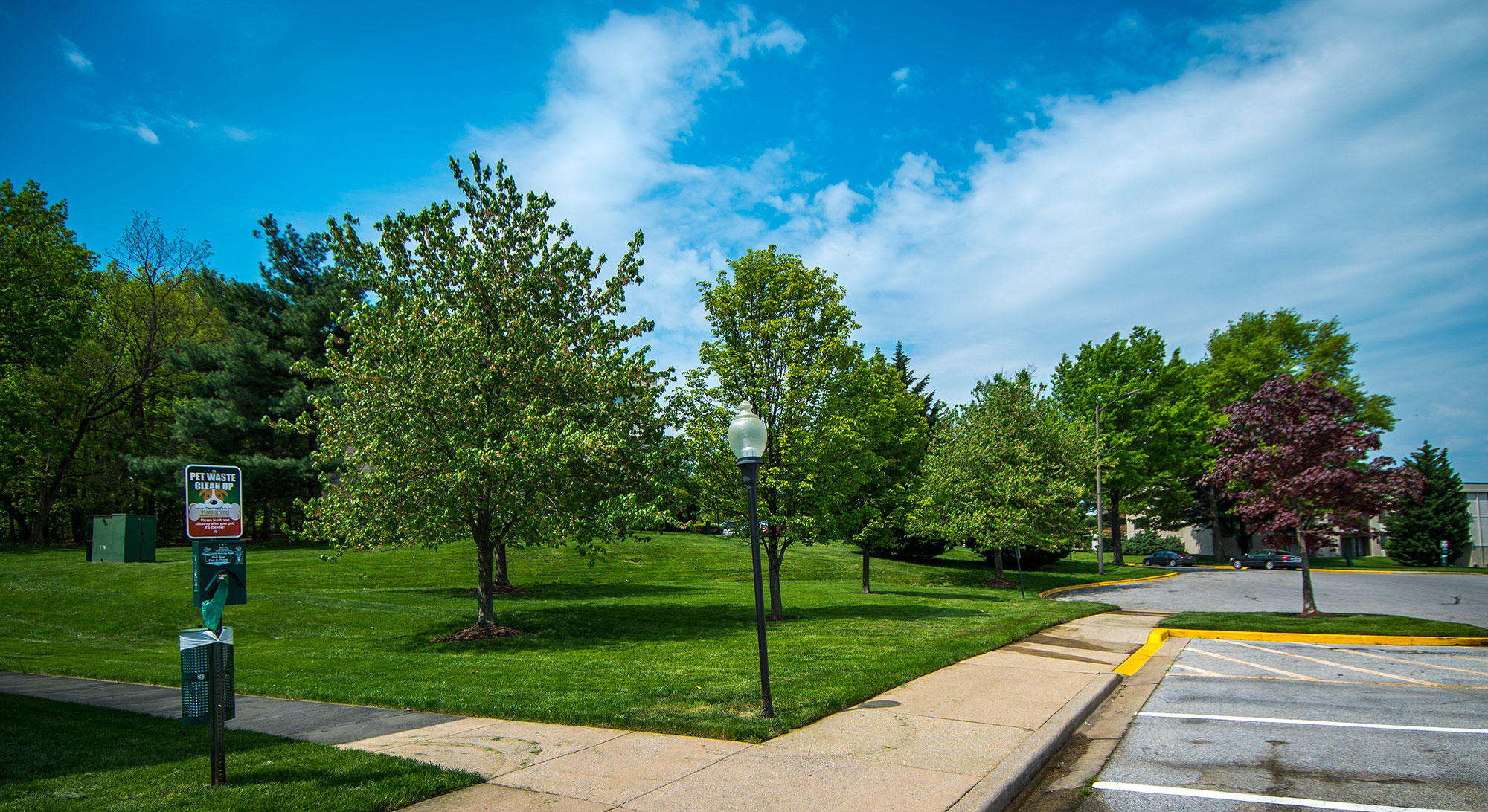Ashley Apartments Dog-walk Trail Walk Path Photo