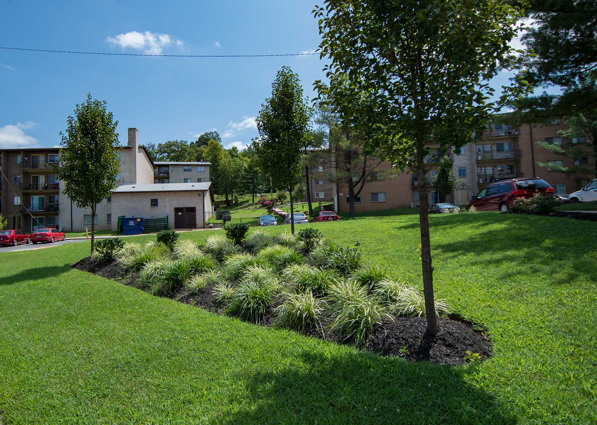 Del Vista Apartments Landscaping 20