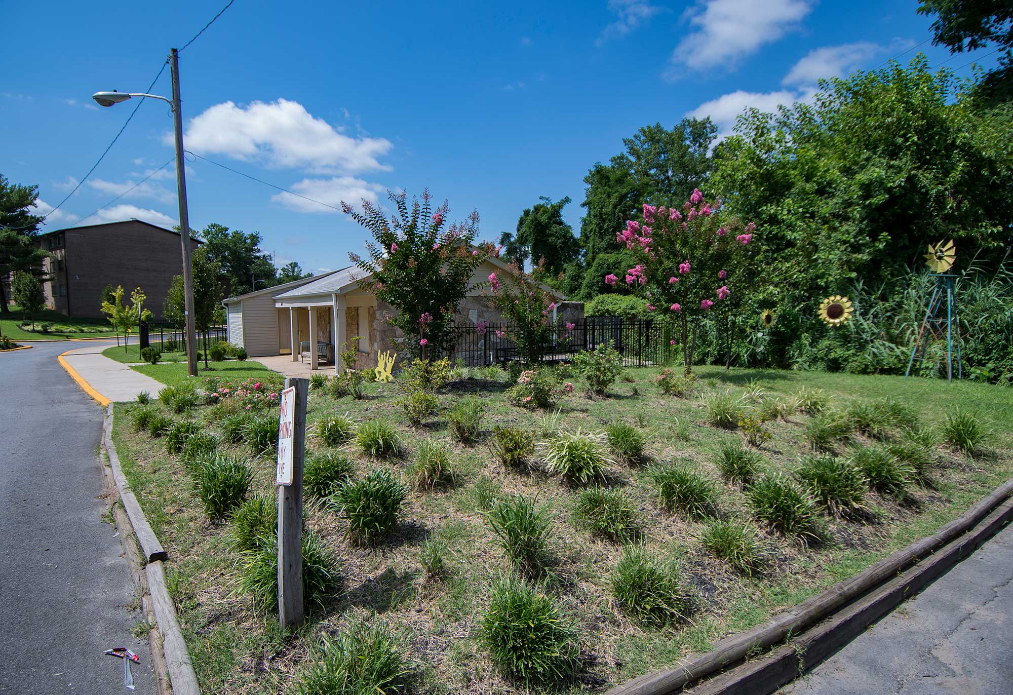 Del Vista Apartments Pool Area Landscaping