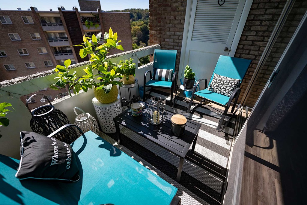 Laurel Village Apartments 2BD Balcony 0018