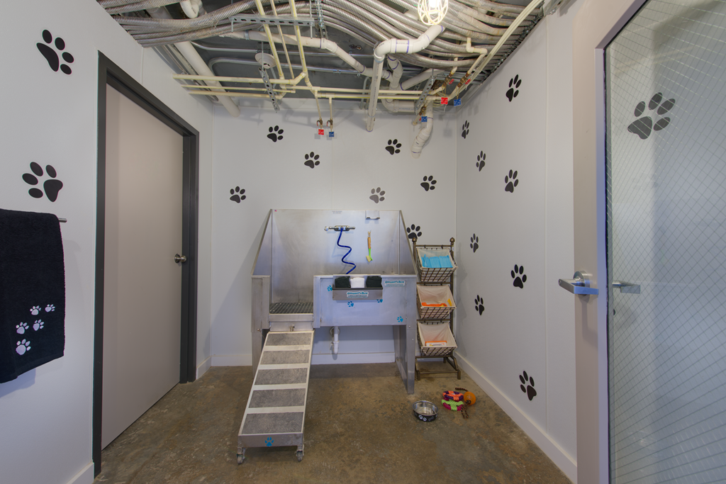 The Metropolitan Apartments Interior Pet Salon
