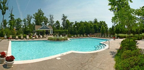 A large swimming pool surrounded by a patio and trees.