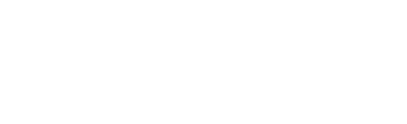 Dreyfuss Management Logo White