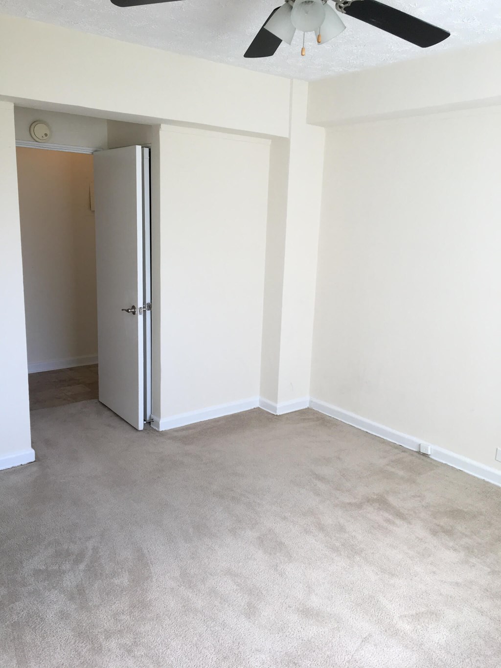 Plush Carpeting at Greenbelt Properties, Greenbelt, MD 20770