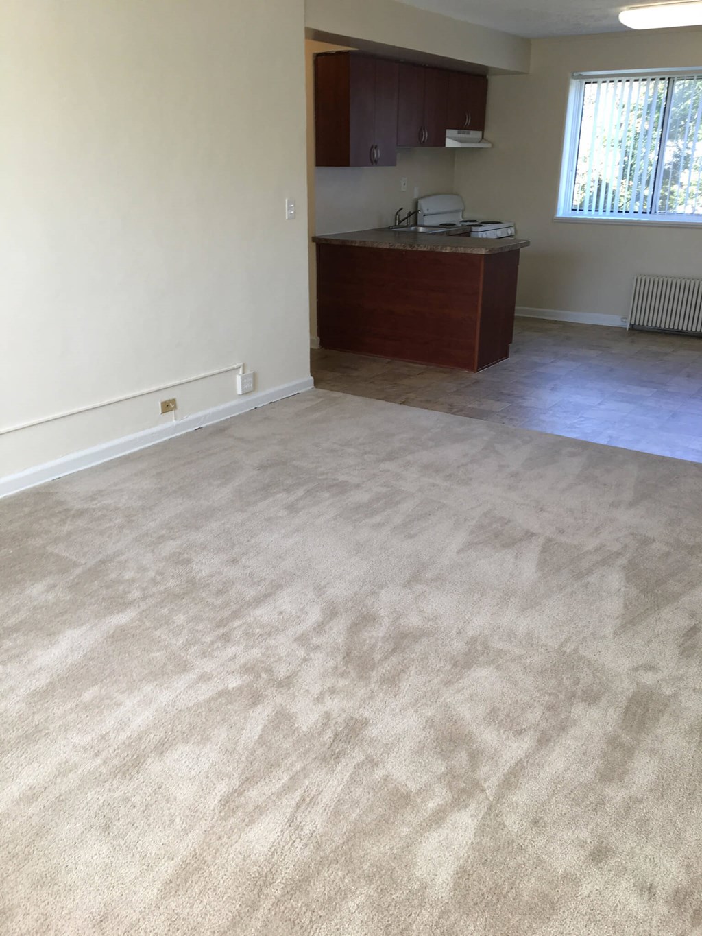 A room with a carpeted floor and a window.at Greenbelt Properties, Greenbelt, 20770