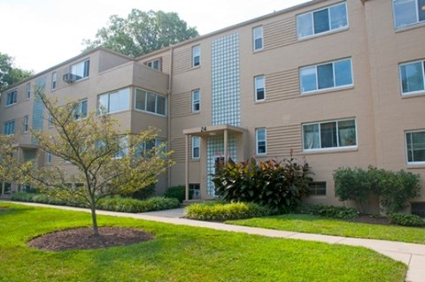 A tree in a mulched circle is in front of a building with a lot of windows.