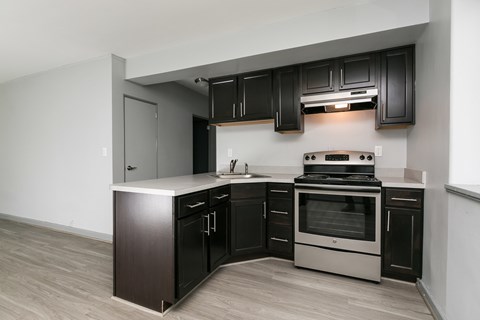 A modern kitchen with dark wood cabinets and stainless steel appliances.