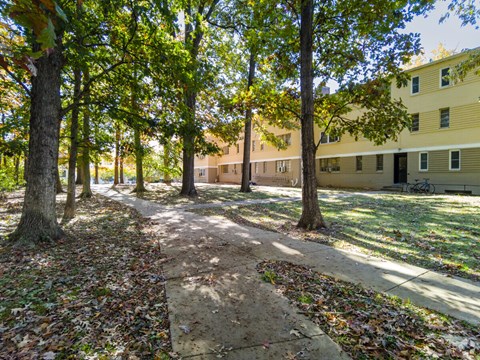 A tree-lined path in a park with a yellow building in the background.