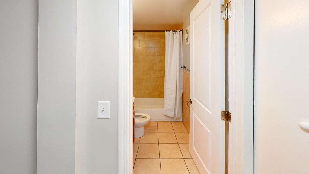 a bathroom with a toilet and a bathtub