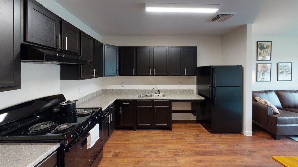 a kitchen with black cabinets and a black refrigerator