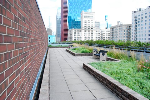 a green roof on top of a building