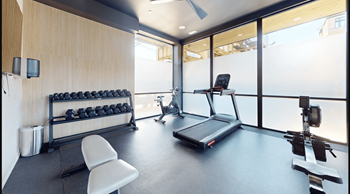 A modern home gym with a treadmill, weights, and exercise equipment.