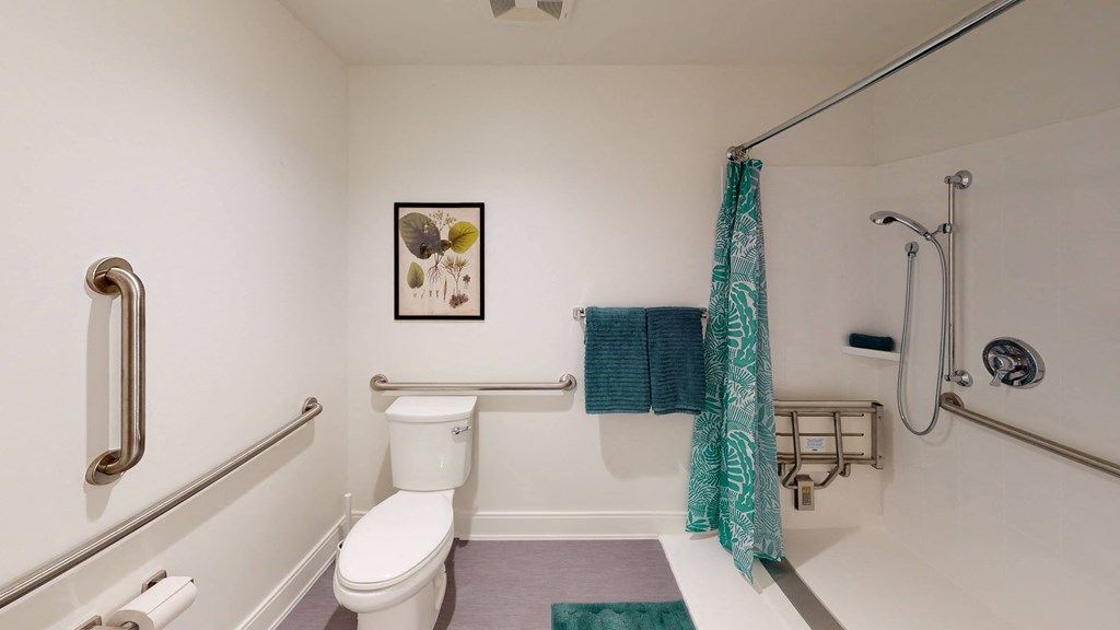 a bathroom with a toilet and a shower with grab bars