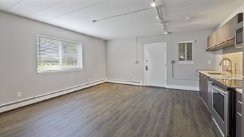 A1 One Bedroom Open Renovated Floor Plan - Photo Gallery 4