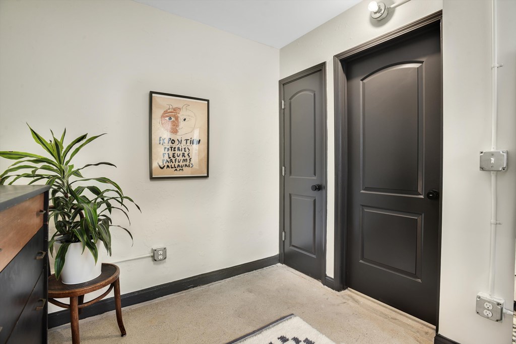 A room with a plant, a framed picture, and two doors.