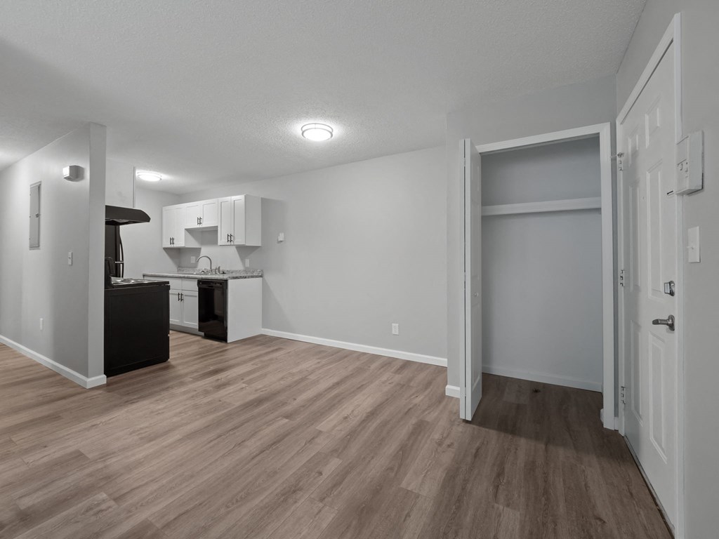 a living room with a kitchen and a door to a closet