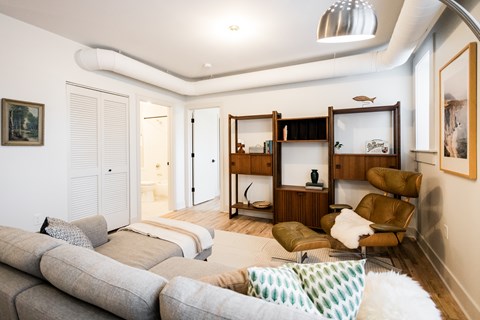 A living room with a grey couch and a white rug.