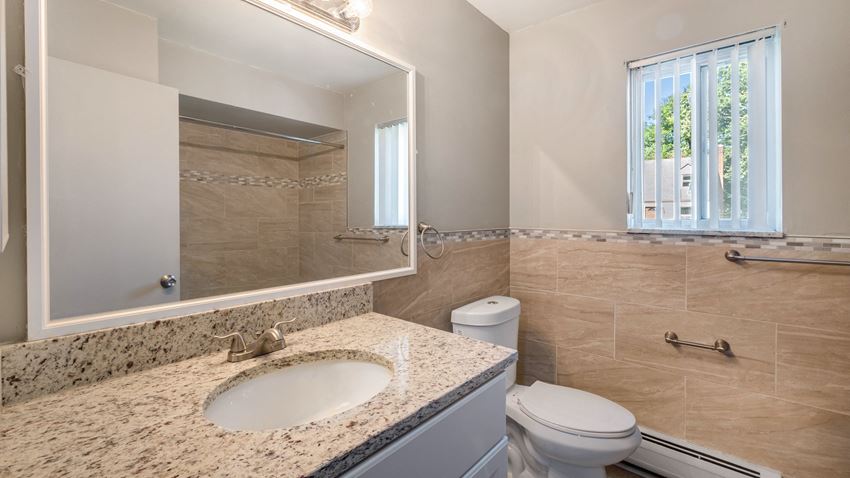 a bathroom with a sink and a toilet and a mirror