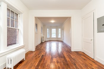 665 W. Willis Studio-1 Bed Apartment for Rent - Photo Gallery 2