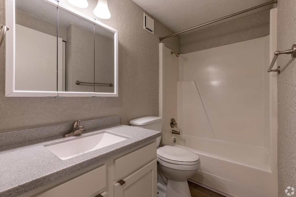 a bathroom with a toilet and a sink and a mirror