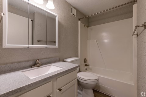 a bathroom with a toilet and a sink and a mirror