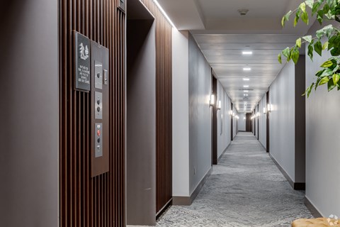 a row of elevators in a hallway in a building with a plant