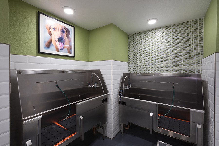 Luxury apartment homes in Brea, CA - Joule La Floresta - pet spa and park