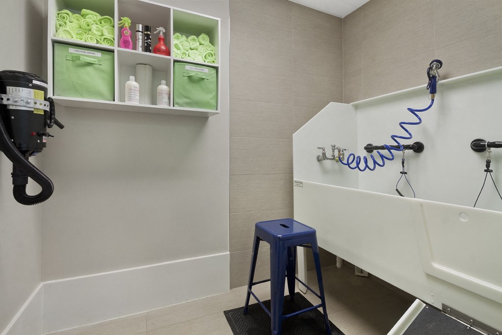 Marshall Park - Raleigh, NC - dog wash