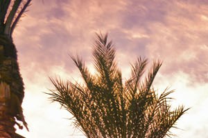 Avion on Legacy - Scottsdale, AZ - sundeck