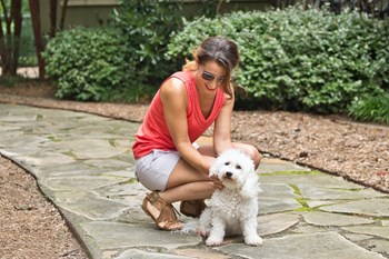 Gramercy at Buckhead - Atlanta, GA - dog walk