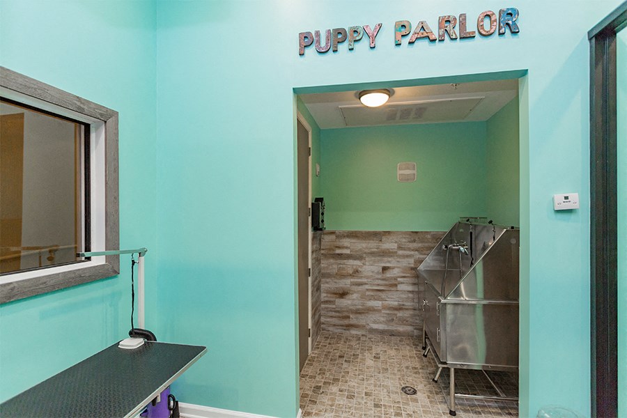 Dwell at McEwen - Apartments for Rent in Franklin, TN - Pet Spa