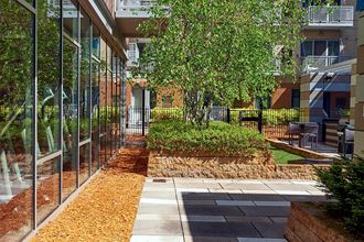 Courtyard Uptown Apartments for Rent in Minneapolis, MN | Flux Apartments | courtyard - Photo Gallery