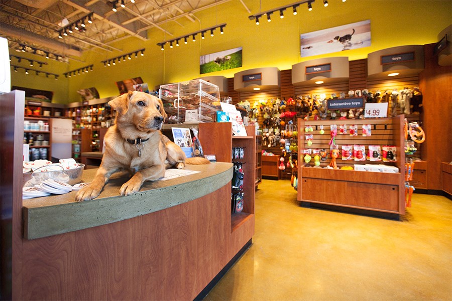 Joule La Floresta - Brea, CA - nearby pet store