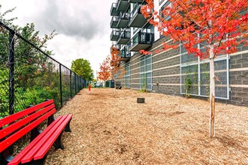 Apartments For Rent in Minneapolis, MN | Flux Apartments | dog park - Photo Gallery 7