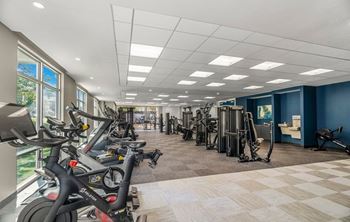 A gym with treadmills, stationary bikes, and other exercise equipment.