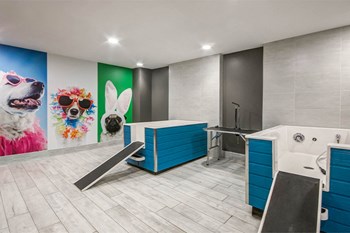 Mallory Square - Rockville, MD - onsite pet spa