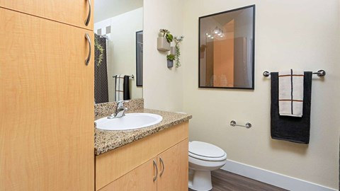 317 112Th Ave NE Studio-2 Beds Apartment for Rent