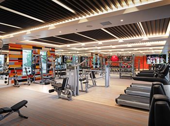 A gym with a variety of equipment including treadmills, weights, and exercise machines.