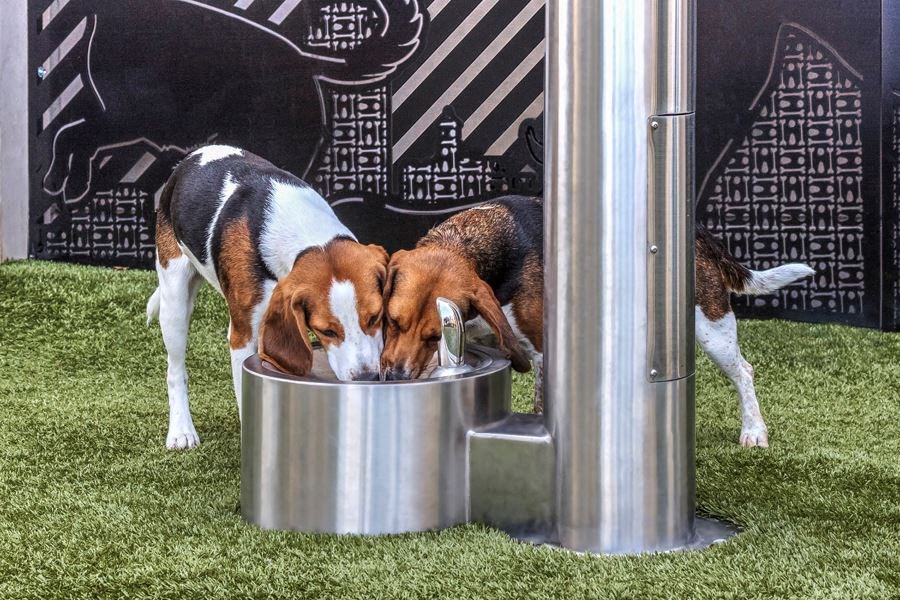 Pet-friendly community with dog park