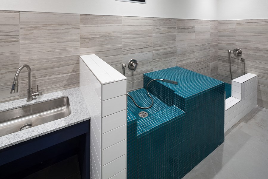 Dallas, TX Apartments for Rent in Knox-Henderson - Larq Henderson dog park