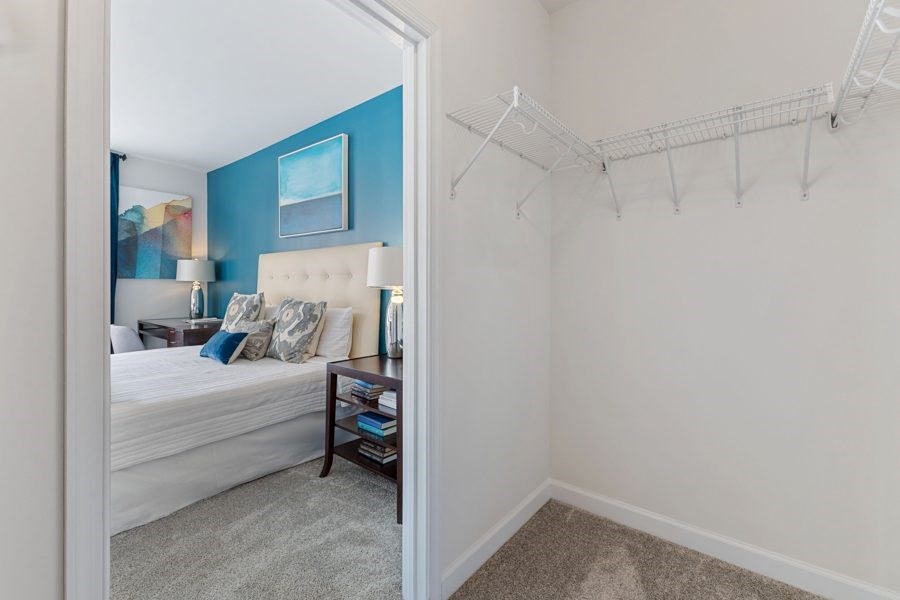 Large walk-in closets with shelving
