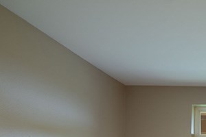 Boulder Creek - Sammamish, WA - ceiling fan
