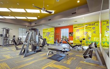 A gym with a variety of equipment including a treadmill, weights, and a bench press.