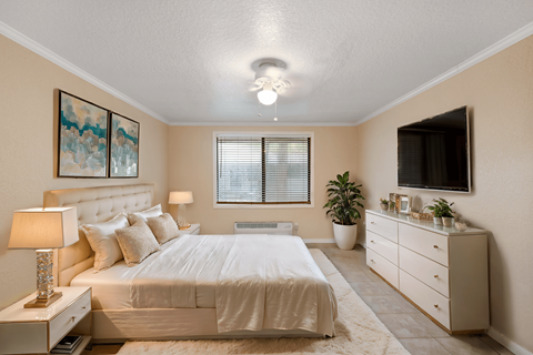 A well-lit bedroom with a large bed, a nightstand with a lamp, a dresser with a TV, and a plant.