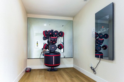 Newport Palms Apartments Fitness Room with Smart Mirror