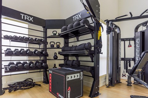 a fitness room with weights and a rack of trx equipment