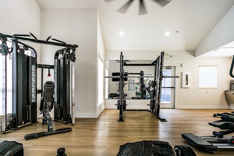 a home gym with weights and cardio equipment