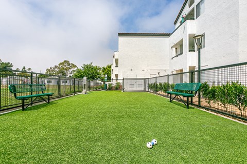 a yard with two benches and a soccer ball on the grass